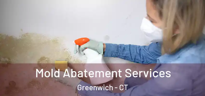  Mold Abatement Services Greenwich - CT