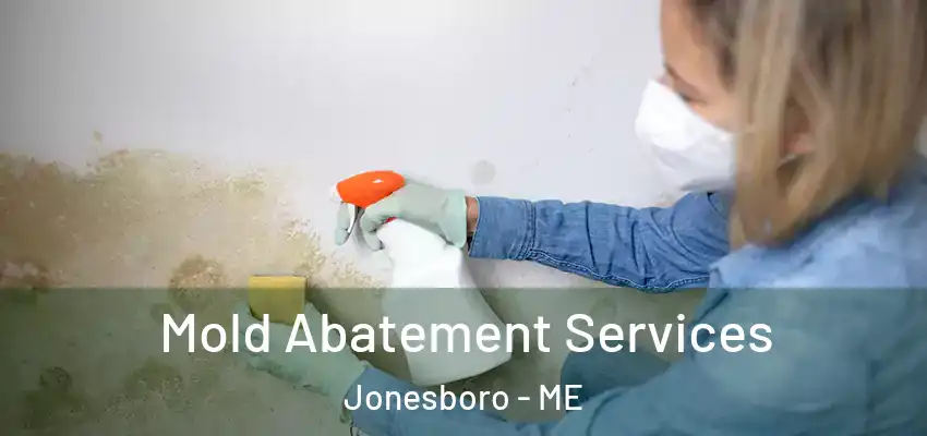  Mold Abatement Services Jonesboro - ME
