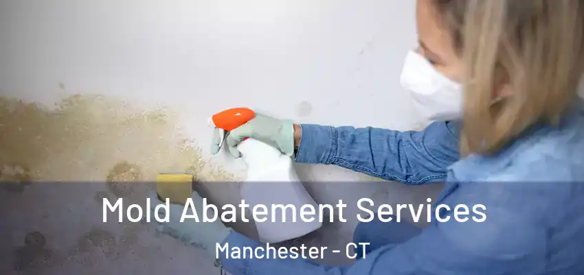 Mold Abatement Services Manchester - CT