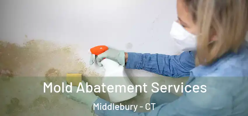 Mold Abatement Services Middlebury - CT