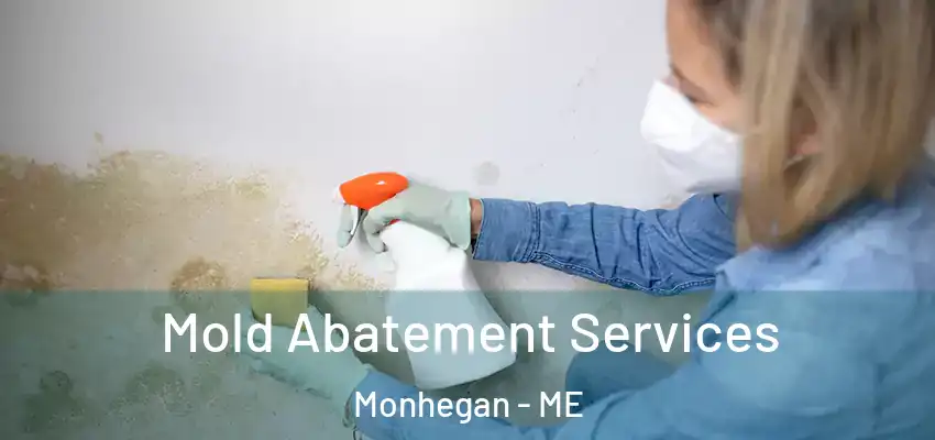 Mold Abatement Services Monhegan - ME