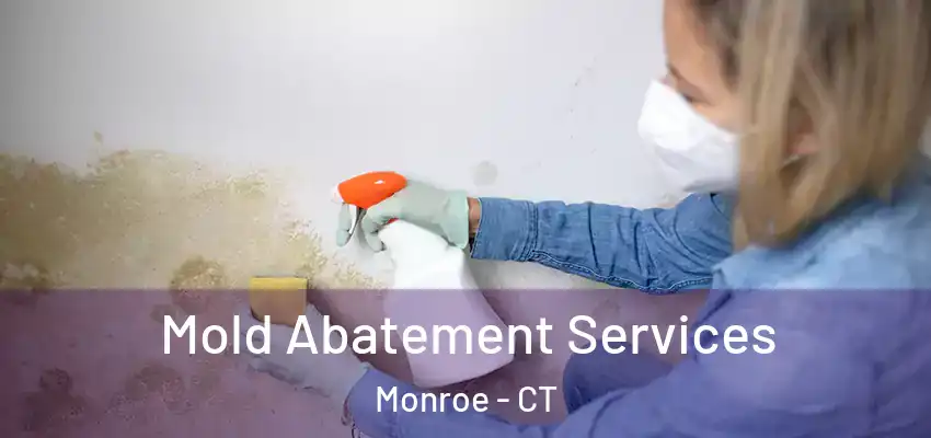 Mold Abatement Services Monroe - CT