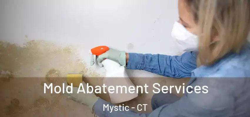 Mold Abatement Services Mystic - CT