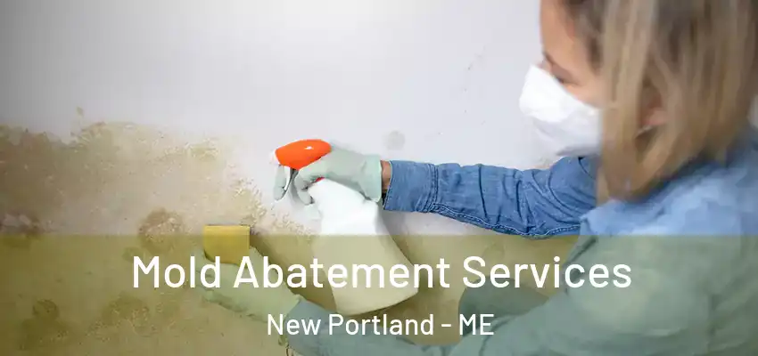  Mold Abatement Services New Portland - ME