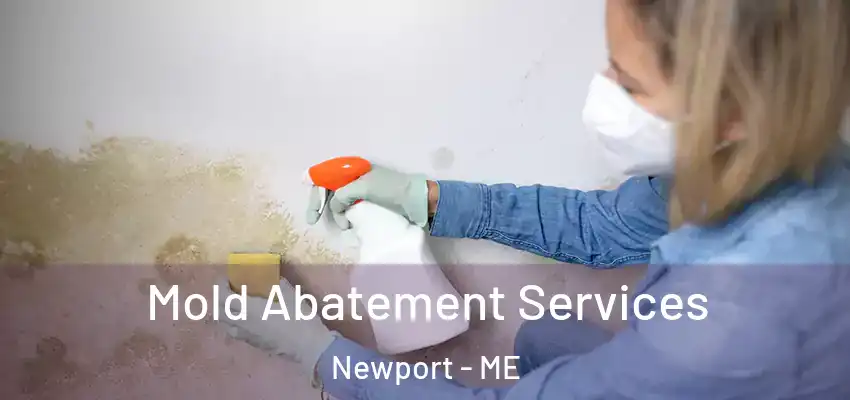  Mold Abatement Services Newport - ME