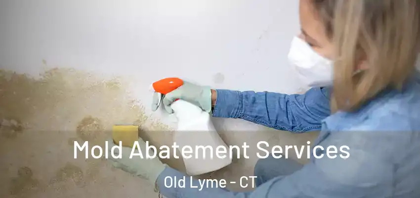  Mold Abatement Services Old Lyme - CT