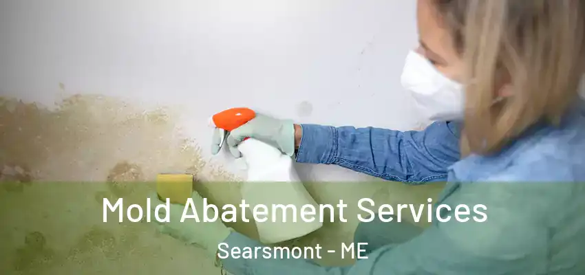  Mold Abatement Services Searsmont - ME