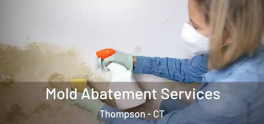 Mold Abatement Services Thompson - CT