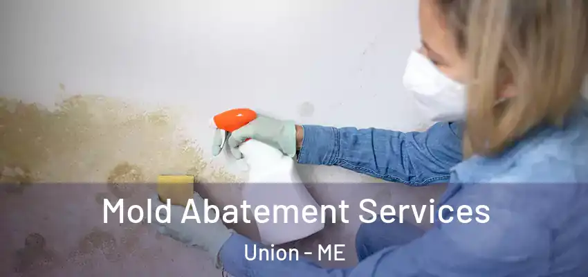 Mold Abatement Services Union - ME