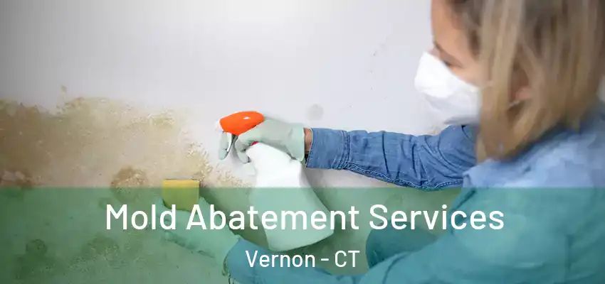 Mold Abatement Services Vernon - CT