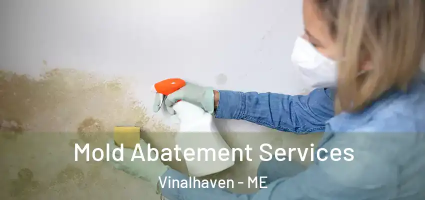 Mold Abatement Services Vinalhaven - ME