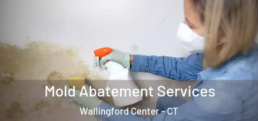  Mold Abatement Services Wallingford Center - CT