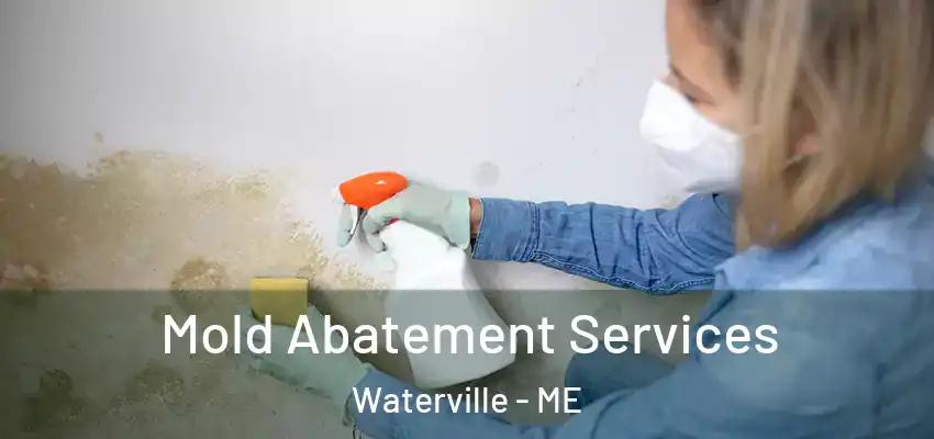 Mold Abatement Services Waterville - ME