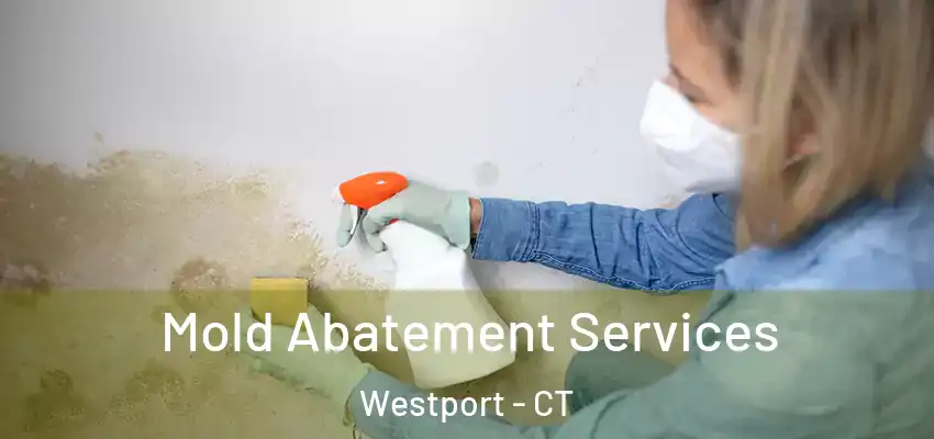 Mold Abatement Services Westport - CT