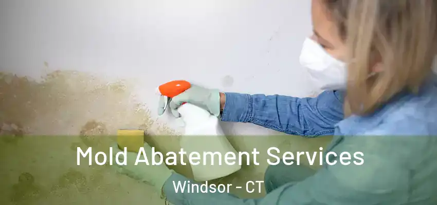 Mold Abatement Services Windsor - CT