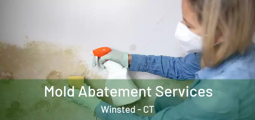 Mold Abatement Services Winsted - CT