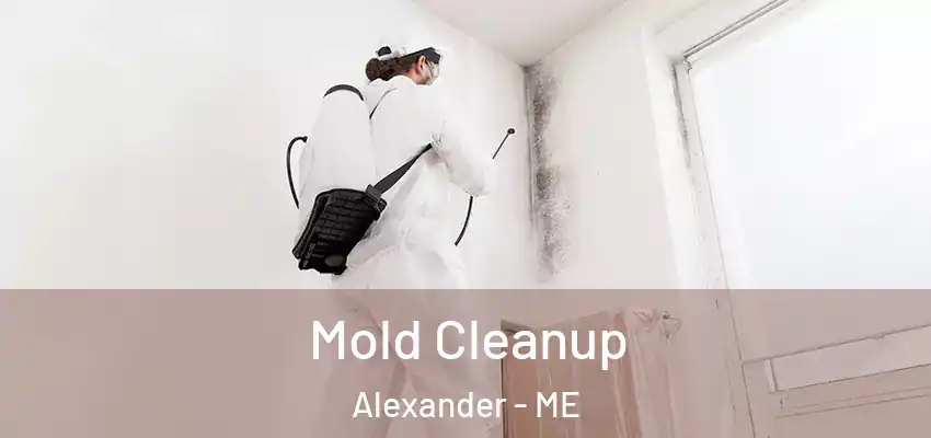 Mold Cleanup Alexander - ME