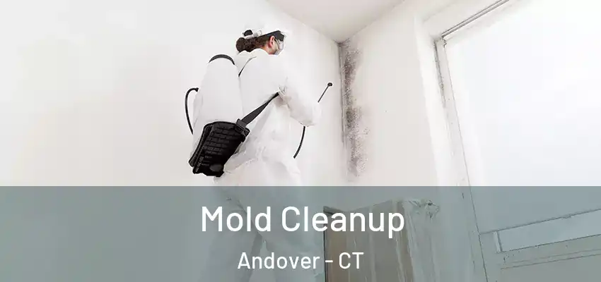 Mold Cleanup Andover - CT
