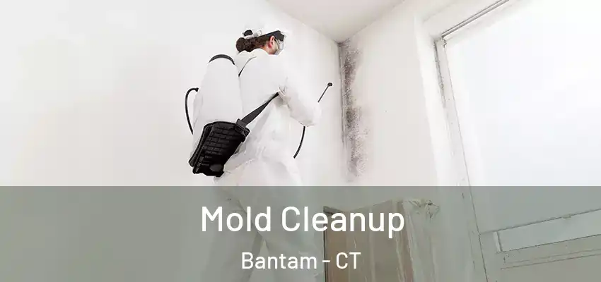 Mold Cleanup Bantam - CT