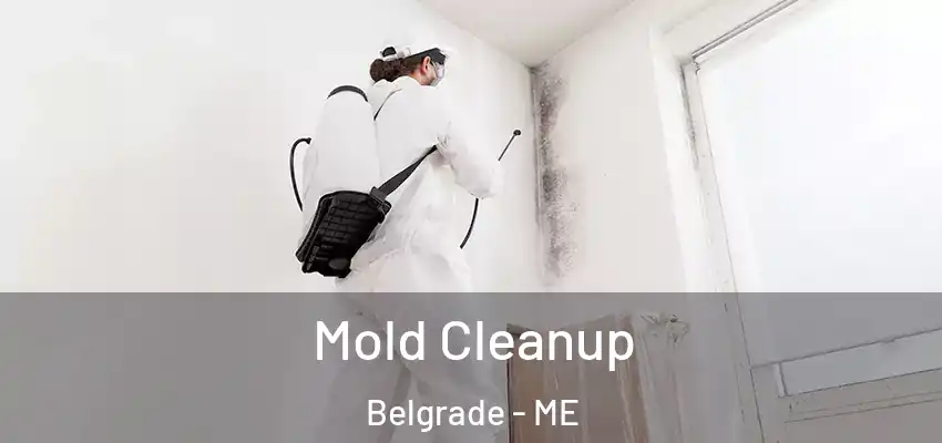Mold Cleanup Belgrade - ME