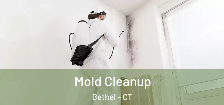 Mold Cleanup Bethel - CT