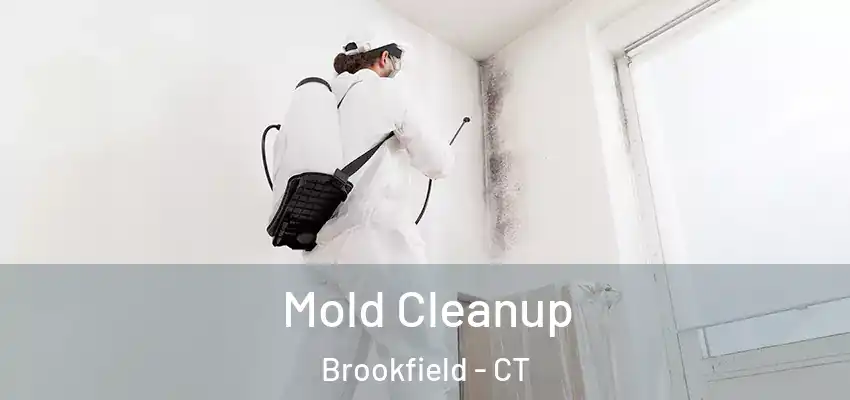 Mold Cleanup Brookfield - CT