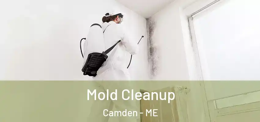  Mold Cleanup Camden - ME