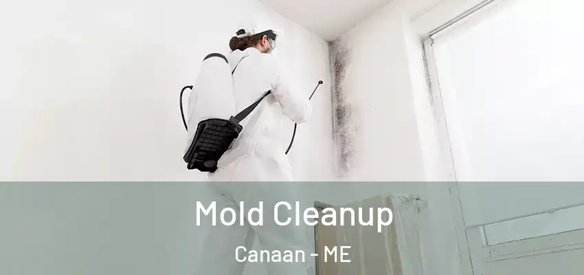  Mold Cleanup Canaan - ME