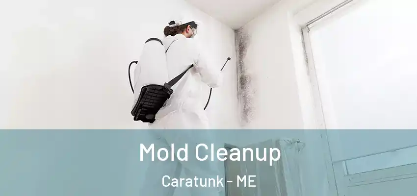Mold Cleanup Caratunk - ME