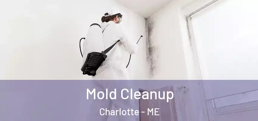 Mold Cleanup Charlotte - ME