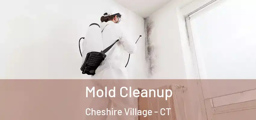 Mold Cleanup Cheshire Village - CT