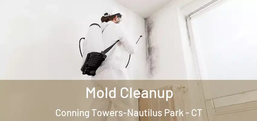  Mold Cleanup Conning Towers-Nautilus Park - CT