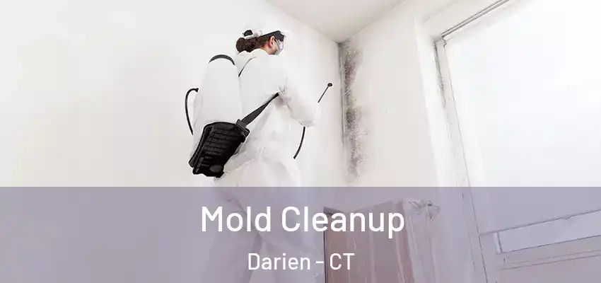 Mold Cleanup Darien - CT