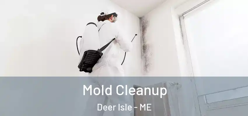 Mold Cleanup Deer Isle - ME
