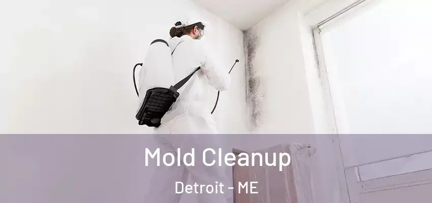 Mold Cleanup Detroit - ME