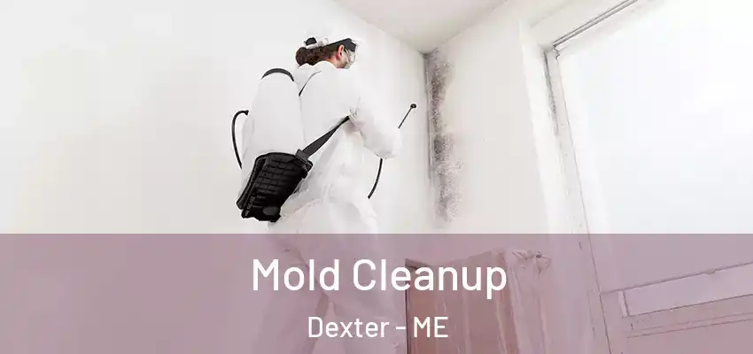 Mold Cleanup Dexter - ME