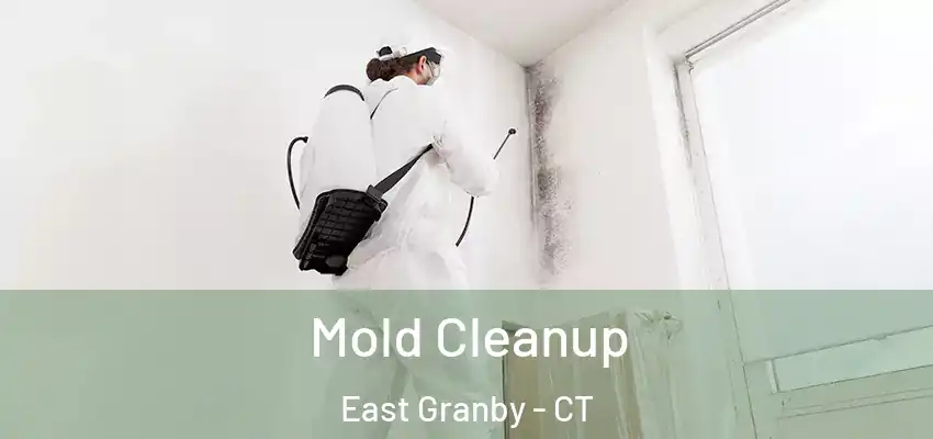 Mold Cleanup East Granby - CT