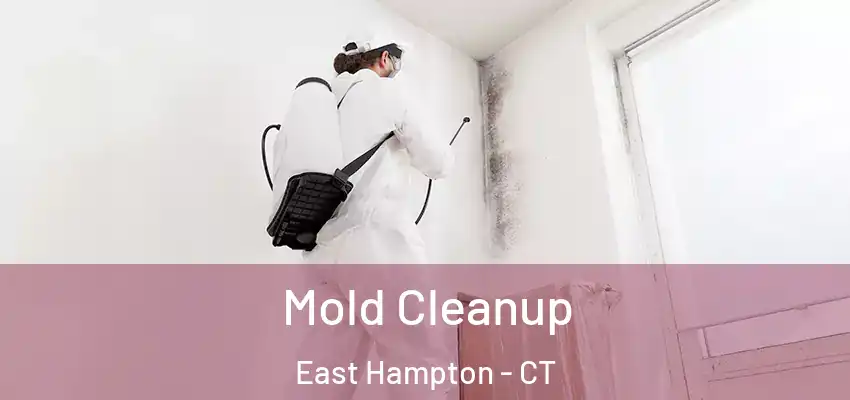 Mold Cleanup East Hampton - CT