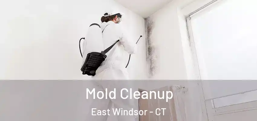  Mold Cleanup East Windsor - CT