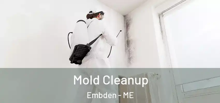 Mold Cleanup Embden - ME