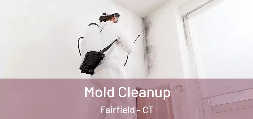 Mold Cleanup Fairfield - CT