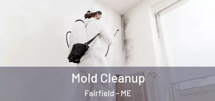 Mold Cleanup Fairfield - ME