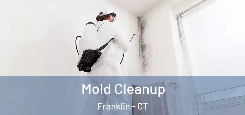 Mold Cleanup Franklin - CT