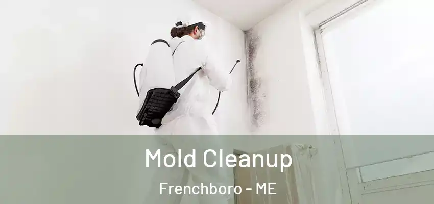 Mold Cleanup Frenchboro - ME