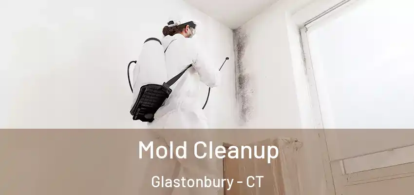 Mold Cleanup Glastonbury - CT