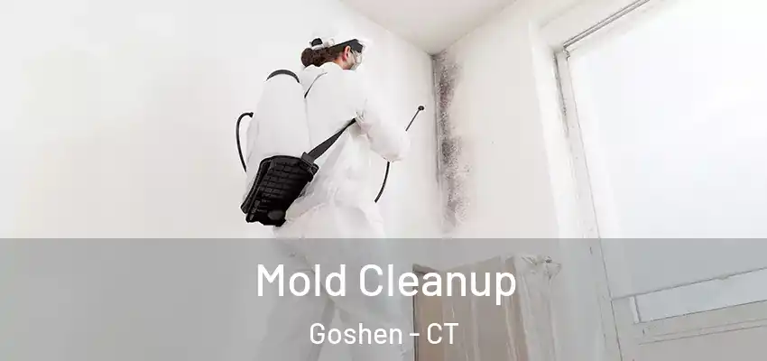 Mold Cleanup Goshen - CT