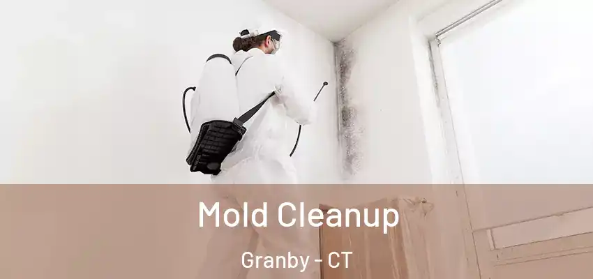 Mold Cleanup Granby - CT