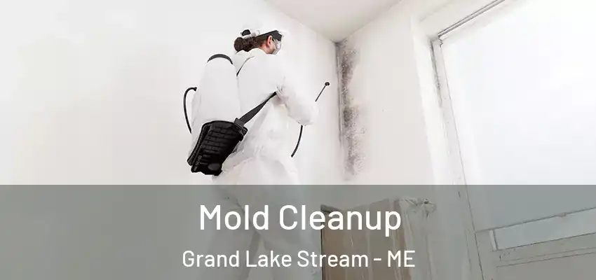  Mold Cleanup Grand Lake Stream - ME