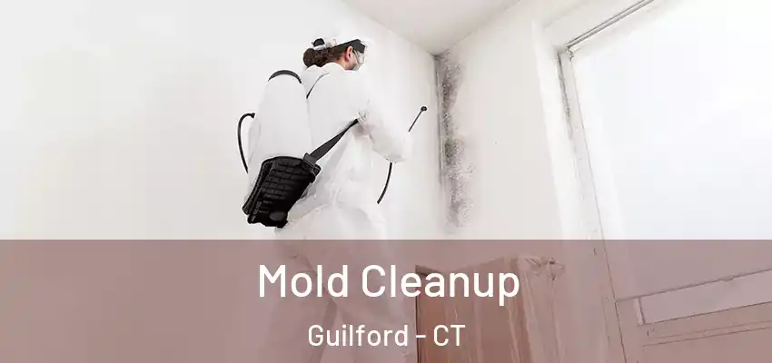 Mold Cleanup Guilford - CT