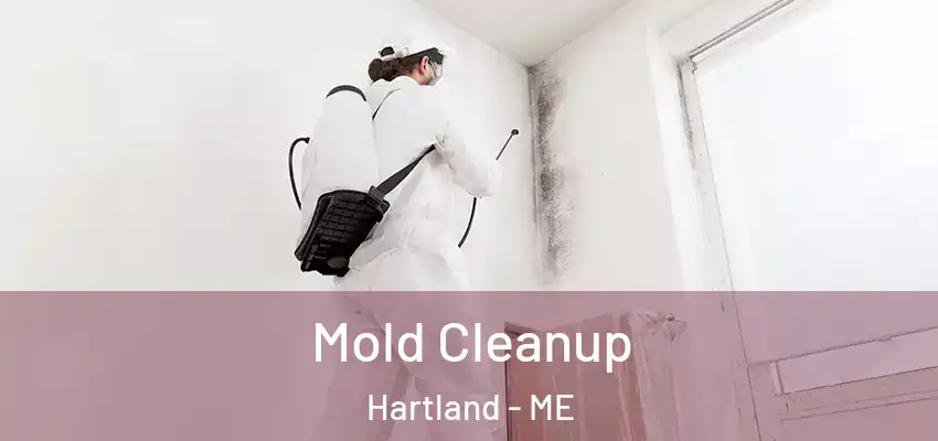  Mold Cleanup Hartland - ME